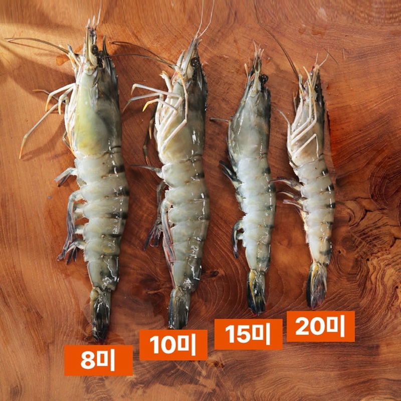 면세[맛투데이] 블랙타이거 새우 500g (12미)